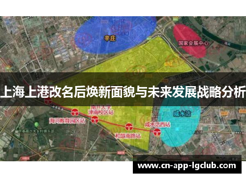 上海上港改名后焕新面貌与未来发展战略分析
