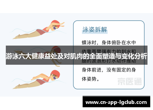 游泳六大健康益处及对肌肉的全面塑造与变化分析