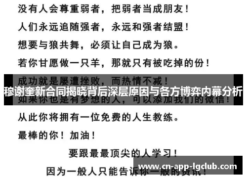穆谢奎新合同揭晓背后深层原因与各方博弈内幕分析