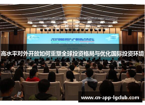 高水平对外开放如何重塑全球投资格局与优化国际投资环境 高水平对外开放如何重塑全球投资格局与优化国际投资环境